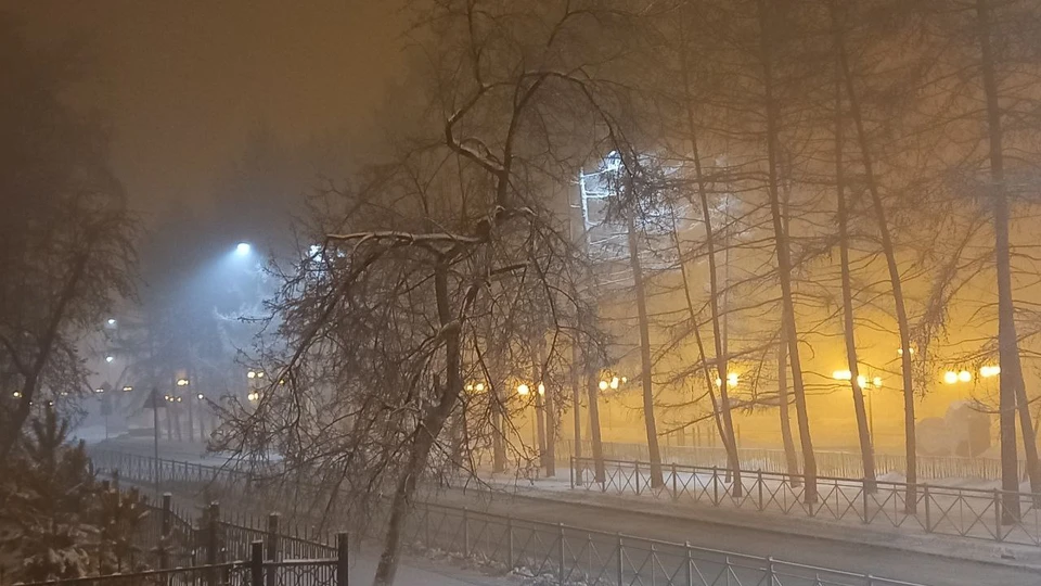 Видимость в субботу, 17 декабря, была менее ста метров.