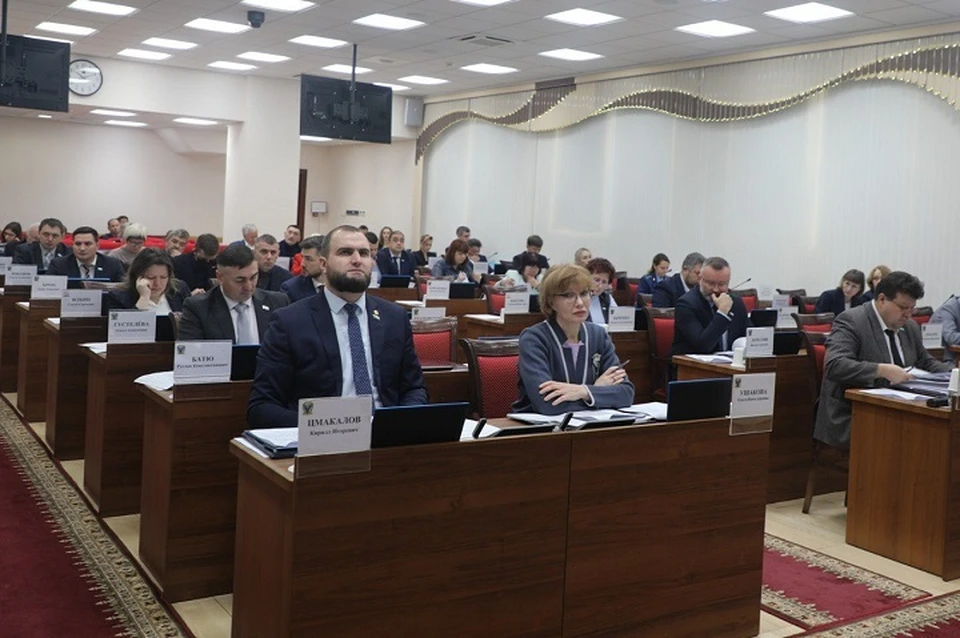Депутаты Хабаровского края поддержали самозанятых и Детский общественный совет