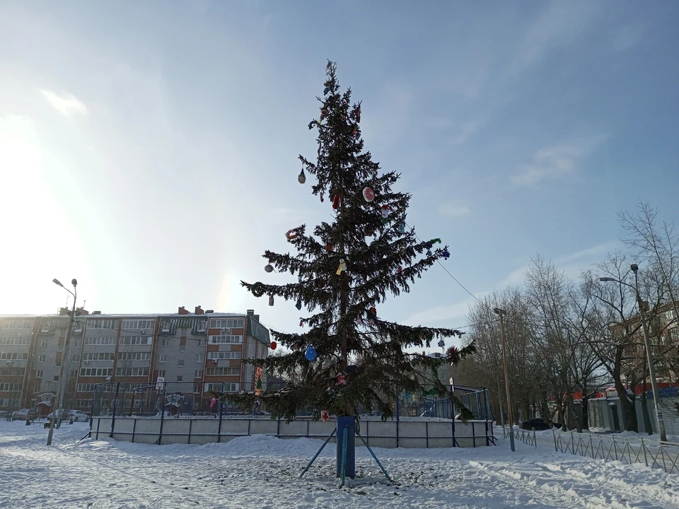 С такой елкой и новогоднее настроение уйдет. Фото: соцсети