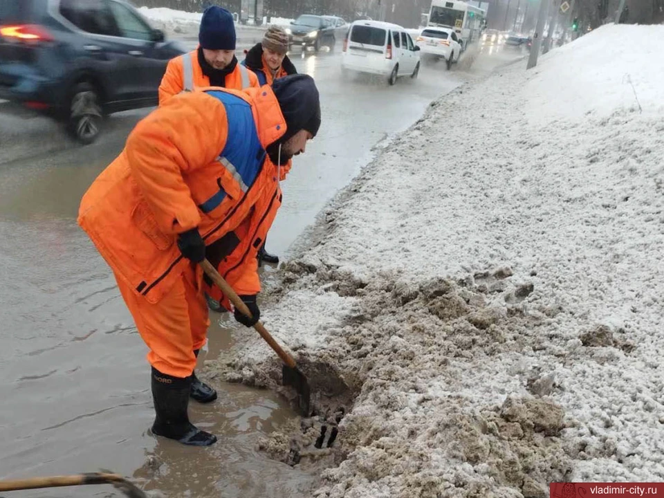 Фото: администрация города Владимира