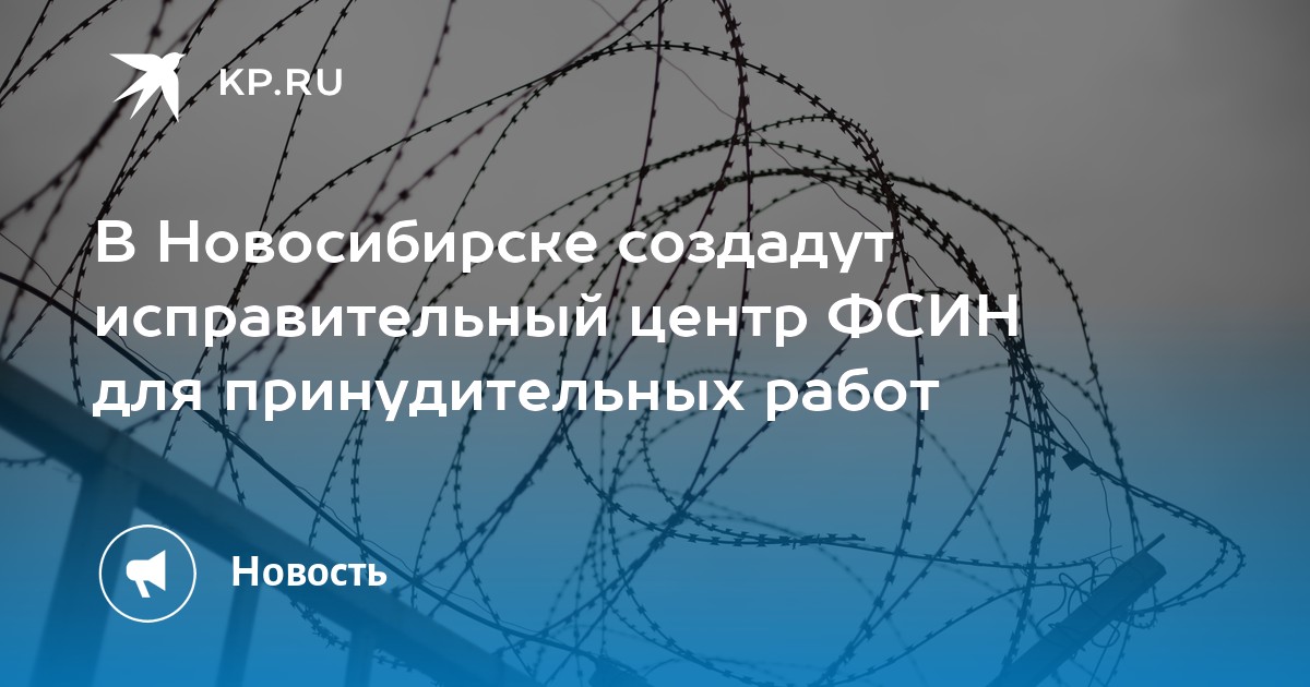 В Новосибирске создадут исправительный центр ФСИН для принудительных