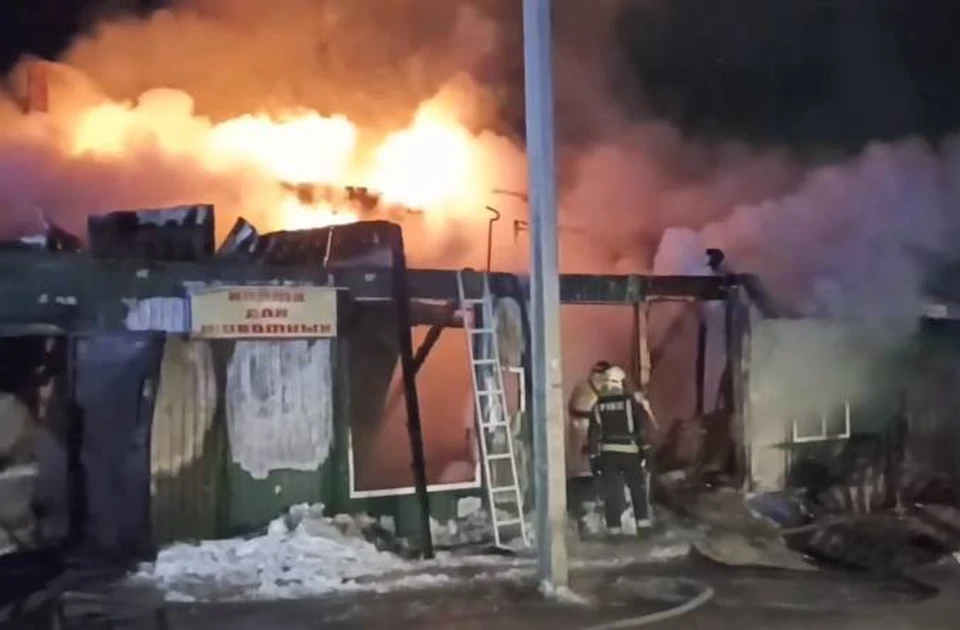 Пожар в доме престарелых в Кемерово. Фото: МЧС России