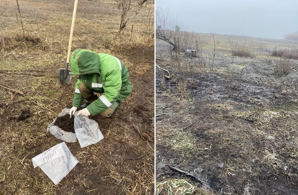 В районе Волгоградской области нефть из буровой скважины залила почву