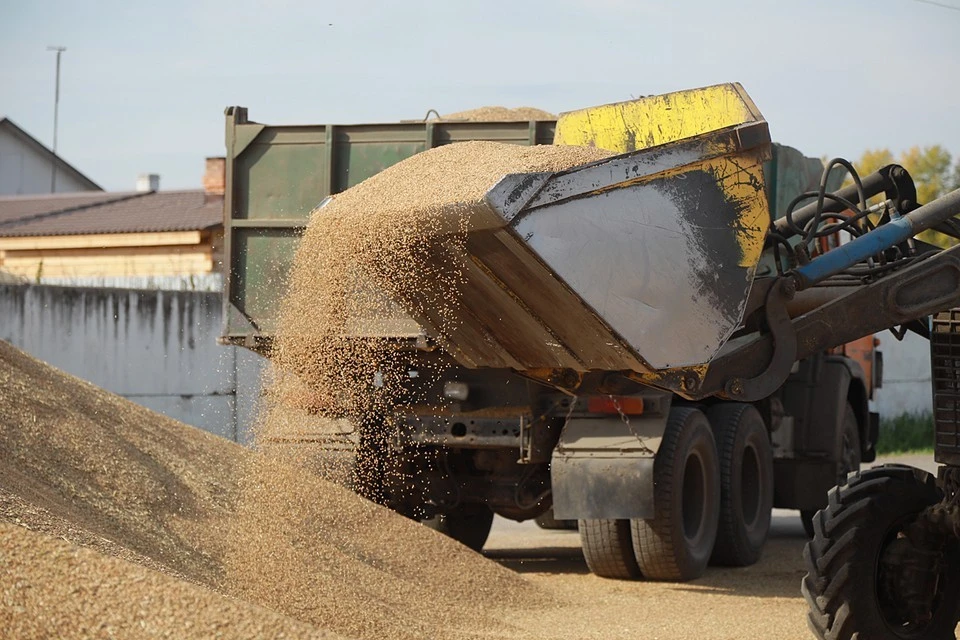 Зерна, собранного в Запорожской области, хватит на всех