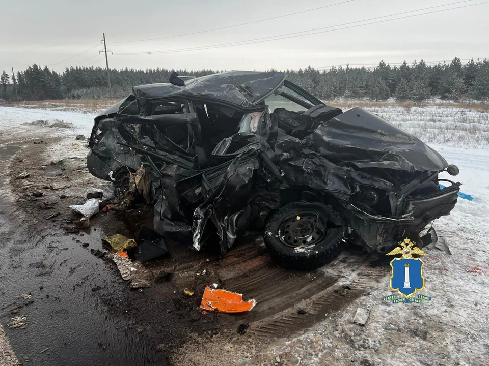 В ГИБДД сообщили о двух трупах на федеральной трассе в Ульяновской области