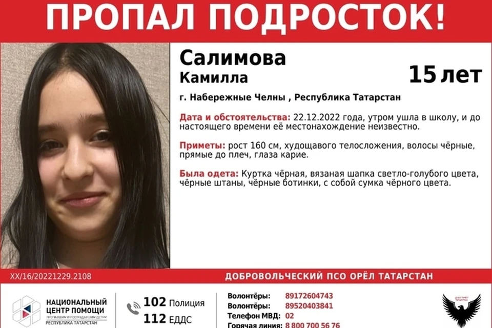 Поисками девочки занимаются волонтеры поисково-спасательного отряда "Орел". Фото: ДПСО "Орел" Татарстана