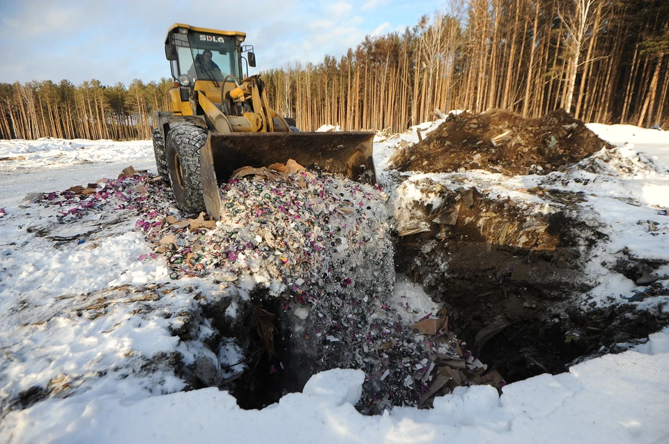 Необходимо восстановить порядка 8 гектаров засоренной площади