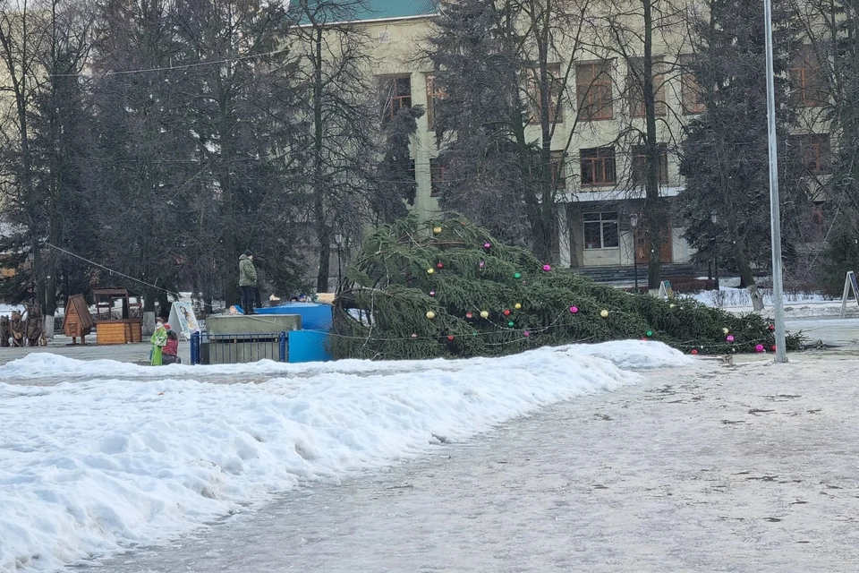 Фото: социальные сети