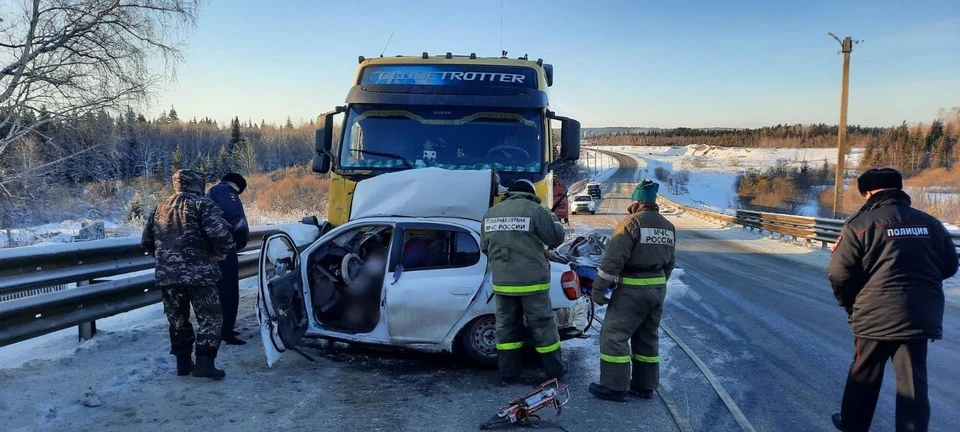 Фото: ГУ МВД по Красноярскому краю