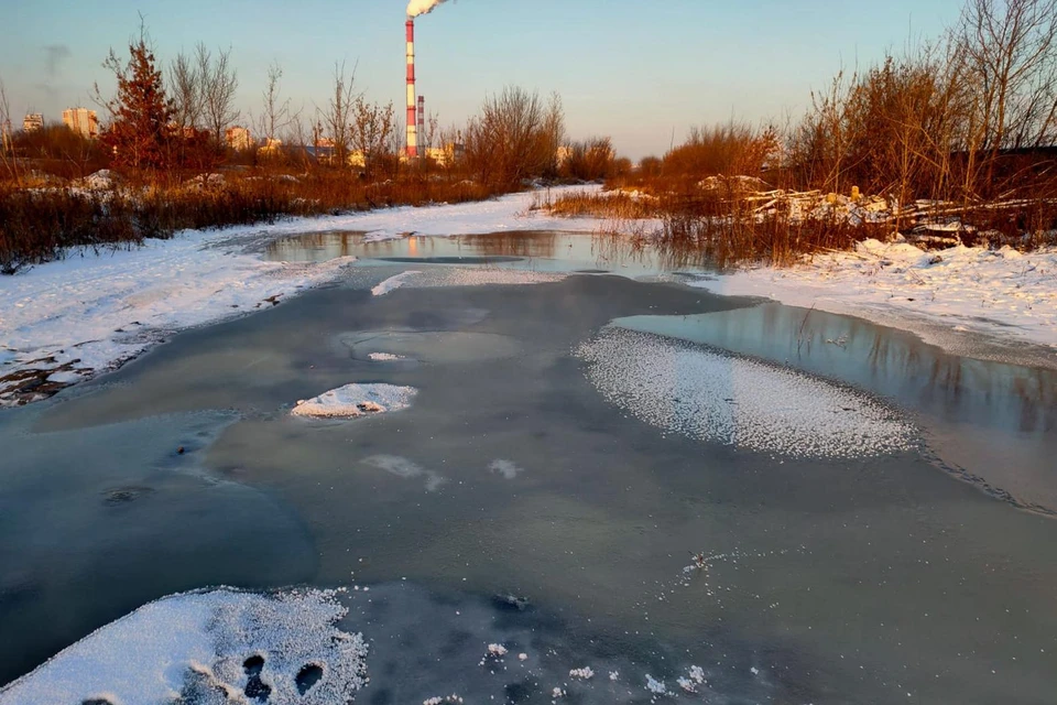 В новогодние праздники вода из канализации заливала подвалы гаражей липчан