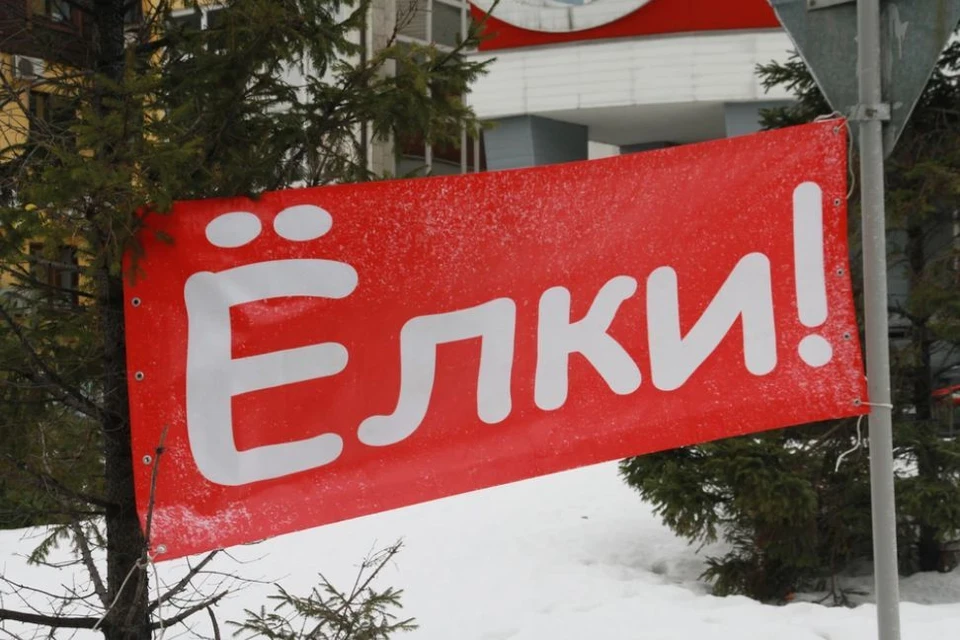 Акцию по сбору елок барнаульские экоактивисты проводят уже несколько лет