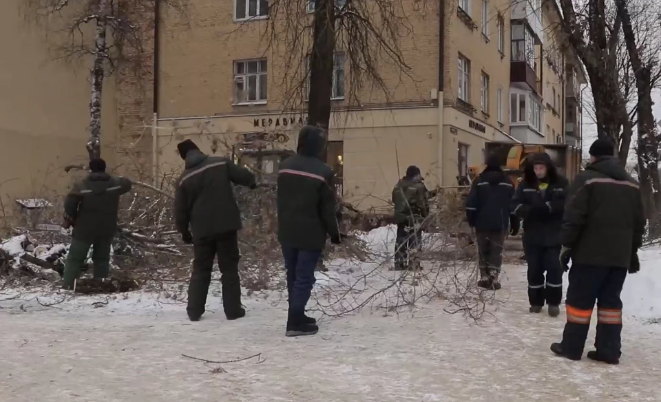 В Смоленске убирают поваленные ветром деревья. Фото: пресс-служба администрации города.