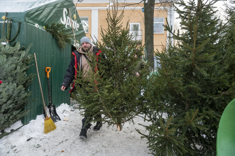 Куда сдать елку после Нового года в Санкт-Петербурге в 2023 году