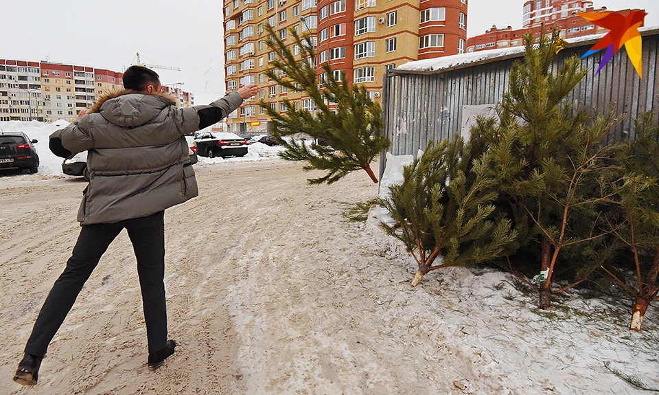 Новогодние праздники подошли к концу, поэтому жителям Мурманской области напомнили о правильной утилизации новогодних елок.