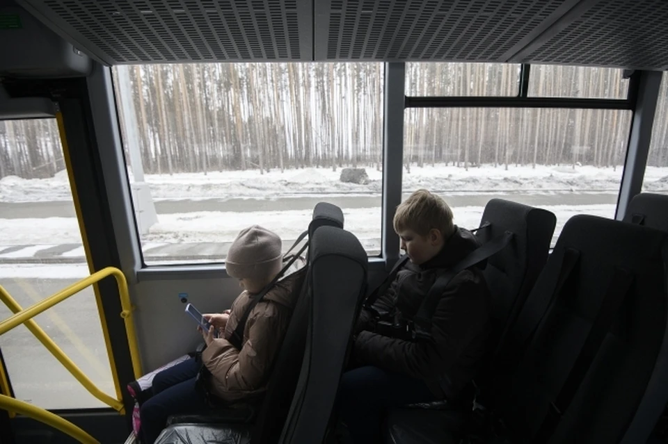 В Новосибирске последние несколько дней держались сильные морозы.