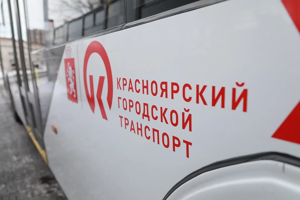 В Красноярске в мороз кондуктор высадила школьника из автобуса