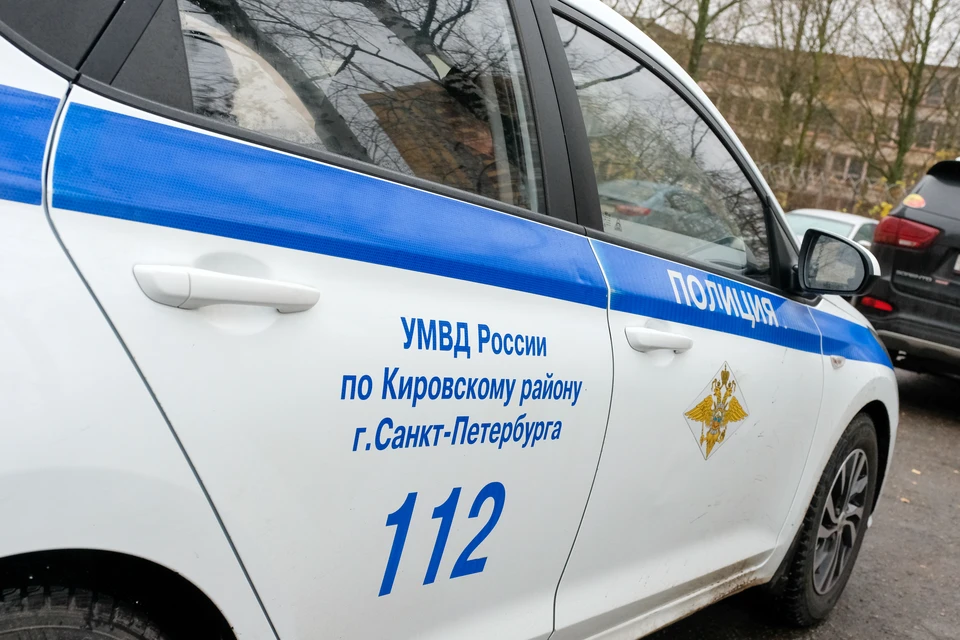 Полицейские Приморского района задержали двоих подозреваемых в разбое