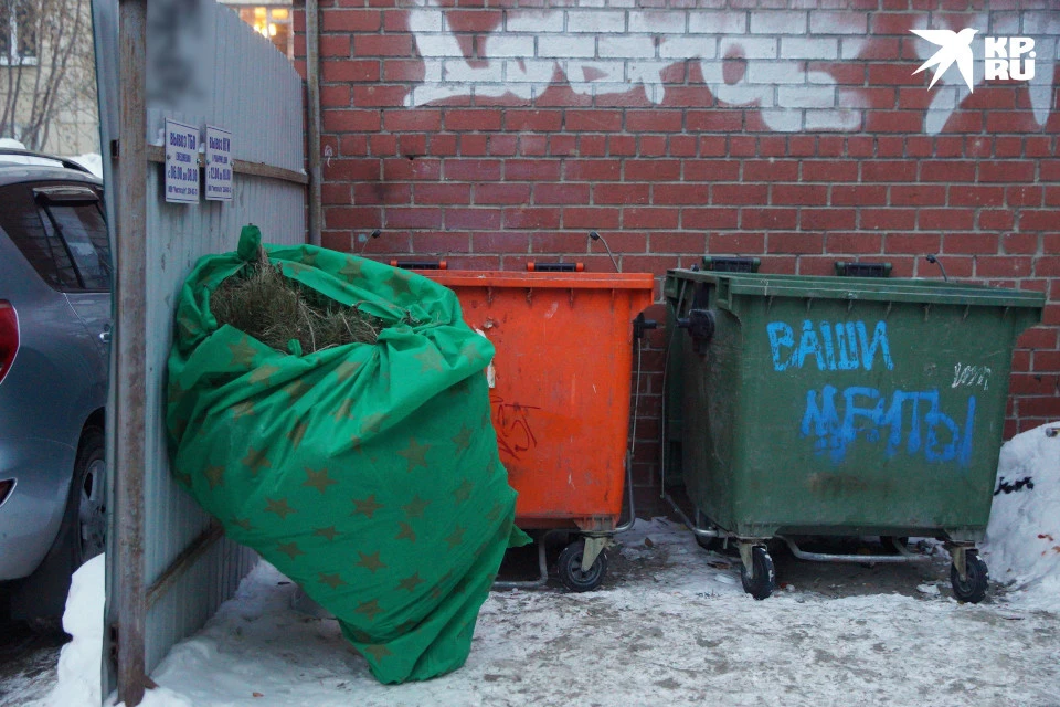 Уже валяются на «мусорках» ёлочки... Пора и городу прощаться с новогодней атрибутикой.