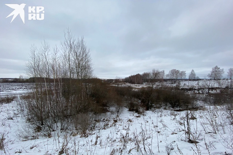 В Рязанской области потеплеет до 0 градусов.