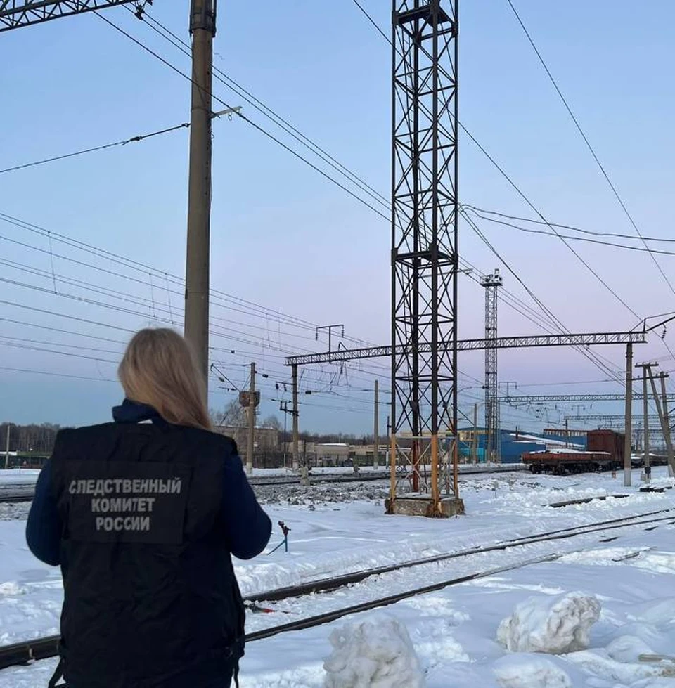 Фото: Центральное межрегиональное следственное управление на транспорте Следственного комитета Российской Федерации.