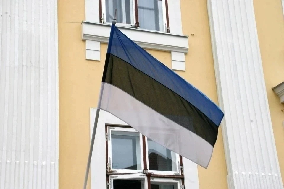 Эстония направит Украине пакет военной помощи на 113 миллионов евро