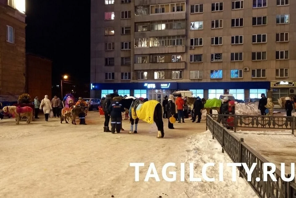 Лошадей в Тагиле выводят в самый центр города. Фото: издание TagilCity.ru