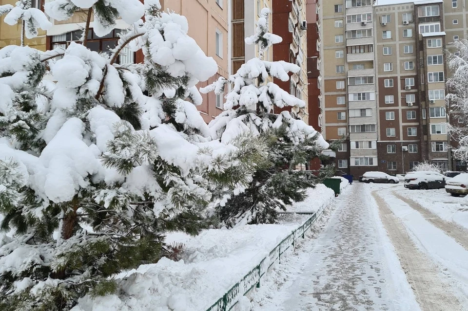 Снег ожидается в Нижнем Новгороде на этой неделе.