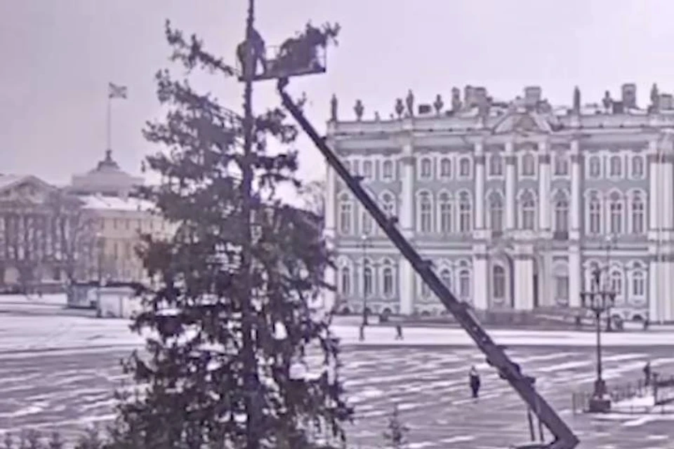 На Дворцовой начали распиливать главную новогоднюю елку Петербурга