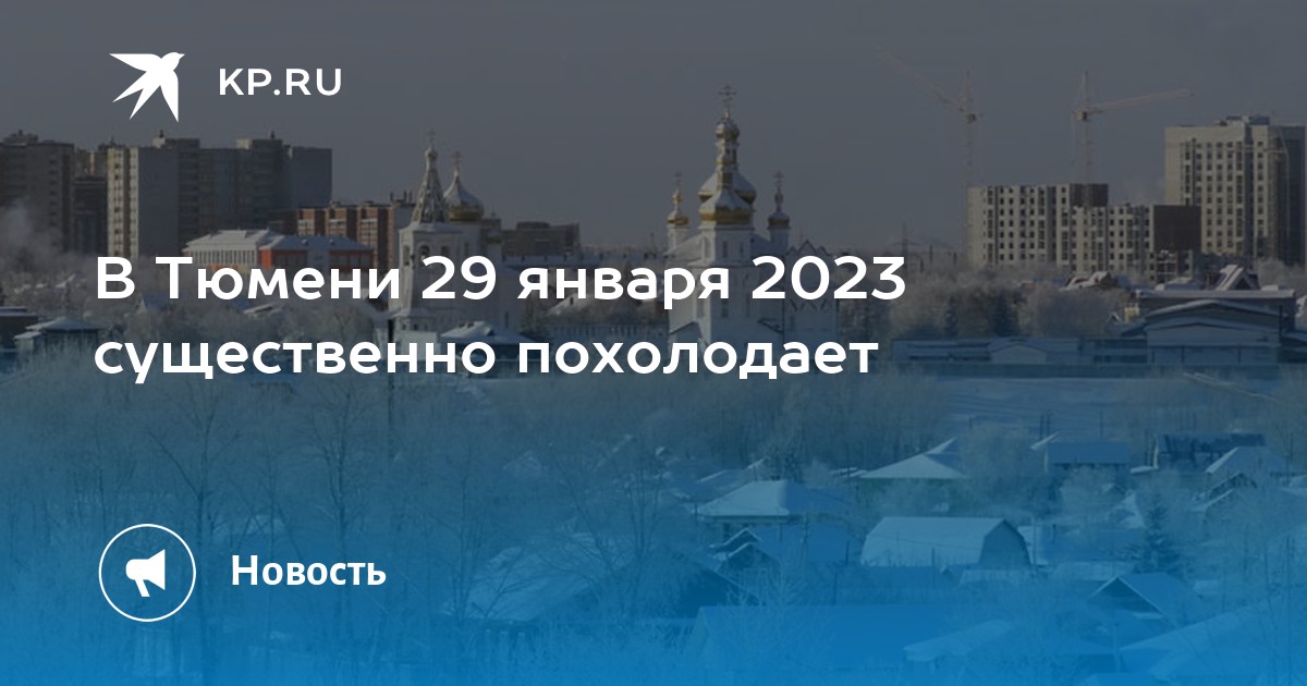 Зоопортал тюмень январь 2024. Сегодня 29 января 2023. Тюмень инфографика. Тюмень 2023. Погода на январь 2023.