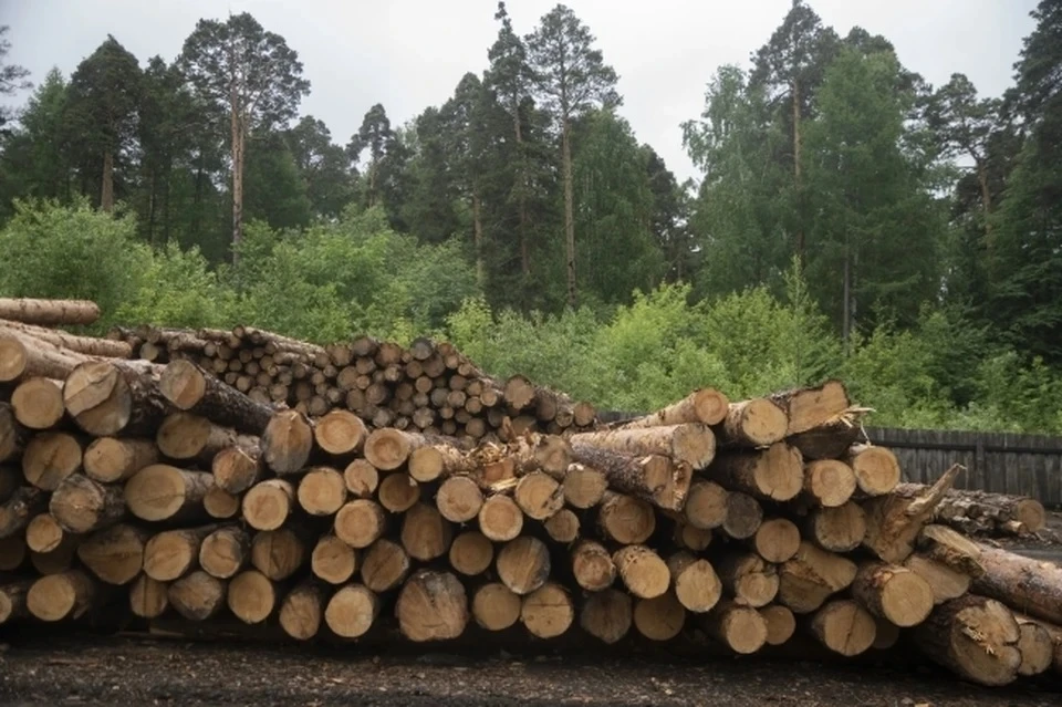 Молдавия закупила первую партию дров у Румынии