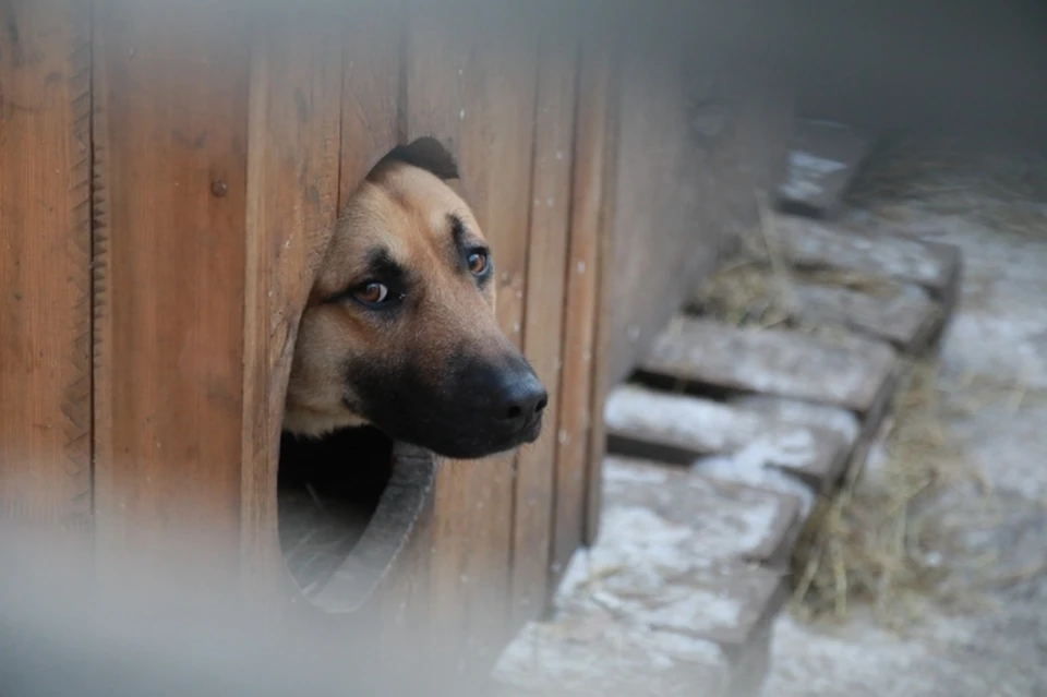 Работа по созданию центра активно ведется