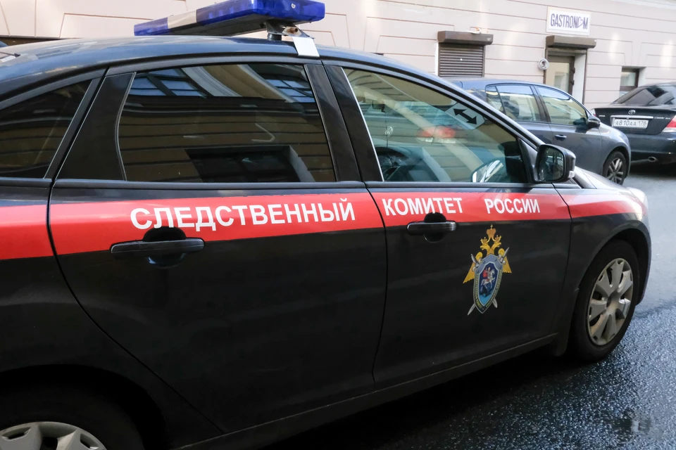 В Санкт-Петербурге местному жителю предъявлено обвинение в убийстве молодой женщины