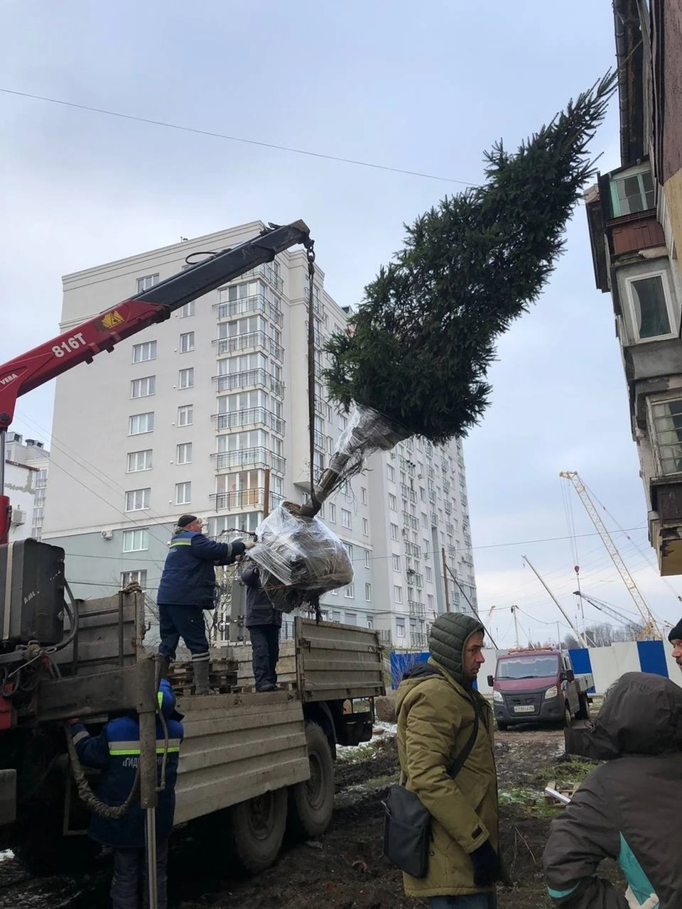 Фото: Дирекции ландшафтных парков Калининграда.