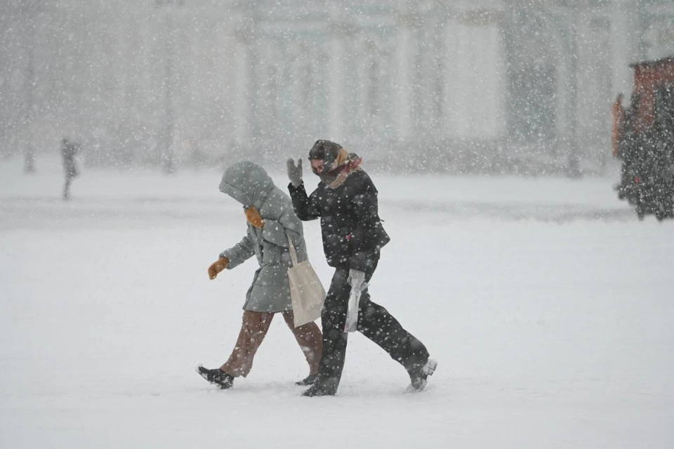 В Петербурге бушует метель