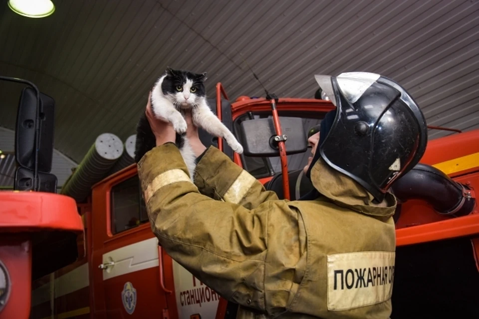 Пожар случился в селе Монастырище.