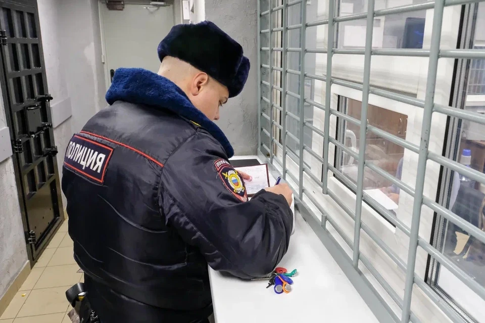 Полиция задержала хозяина питбуля, покусавшего школьницу в Петербурге.