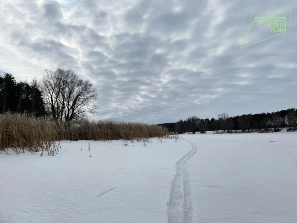 Фото: Минприроды Ульяновской области