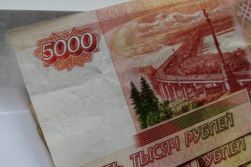 Количество фальшивых купюр уменьшилось на 45% за год в Липецкой области