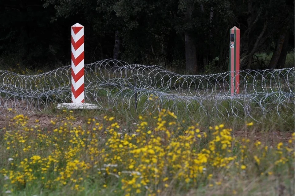 Польские фермеры выступили против ввоза украинского зерна и заблокировали КПП на границе