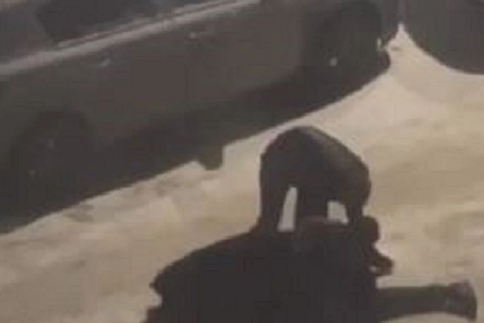 Фото: скриншот видео