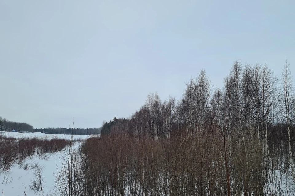 Погода в Югре на неделю с 20 по 26 февраля 2023 года