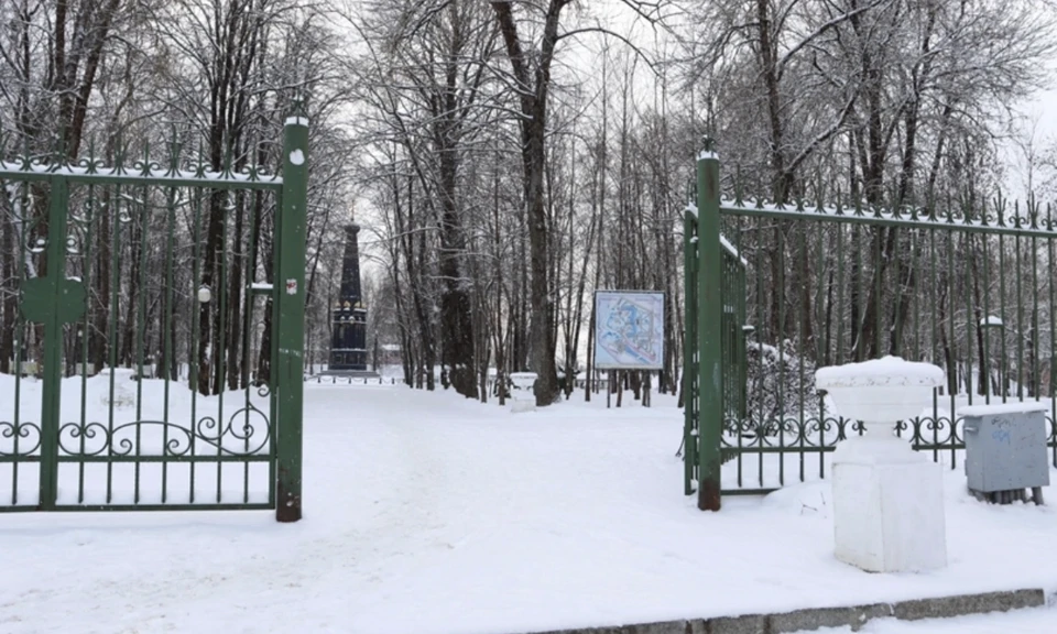 Снег и сильный ветер ожидаются в Смоленской области 20 февраля. Фото: Алёна Лавушкина.