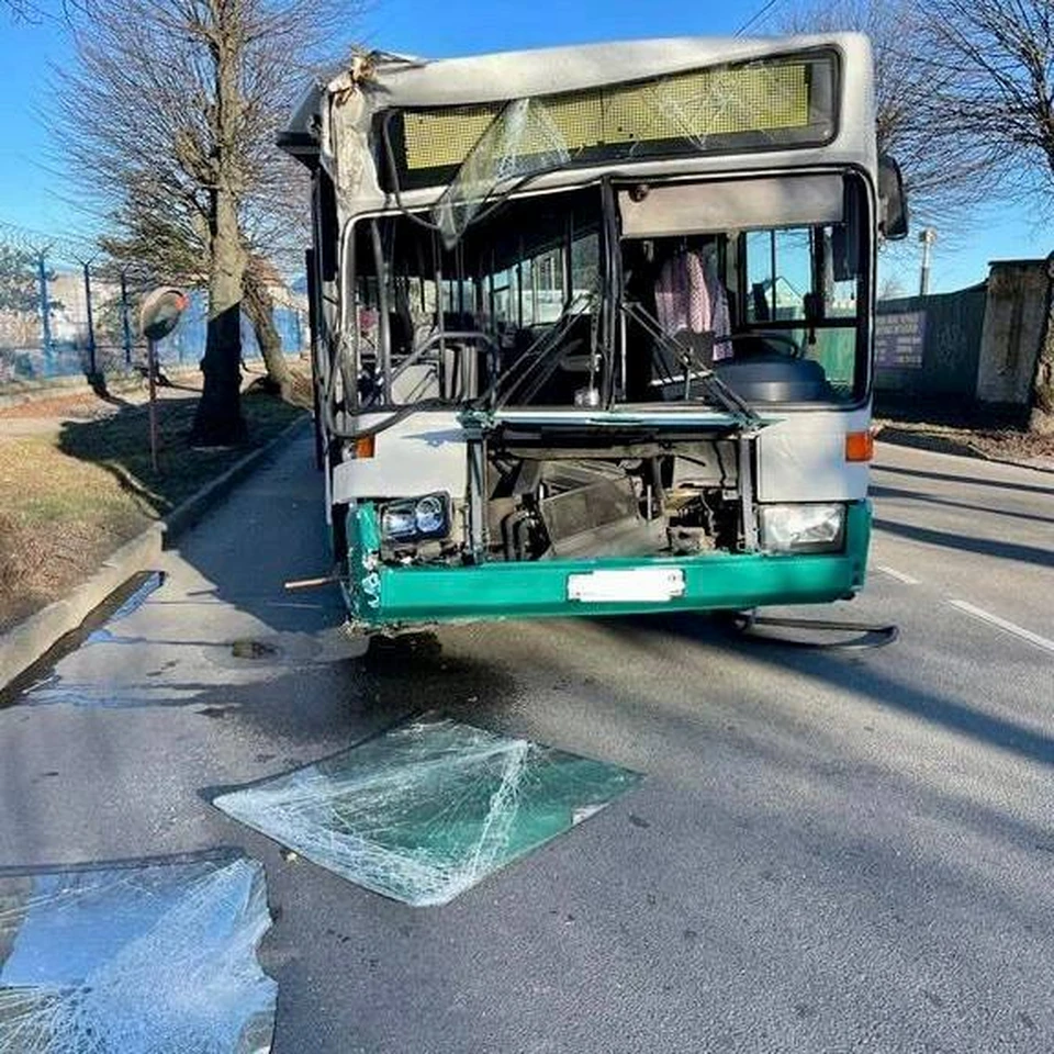 В Калининграде автобус врезался в дерево, пострадала кондуктор - KP.RU