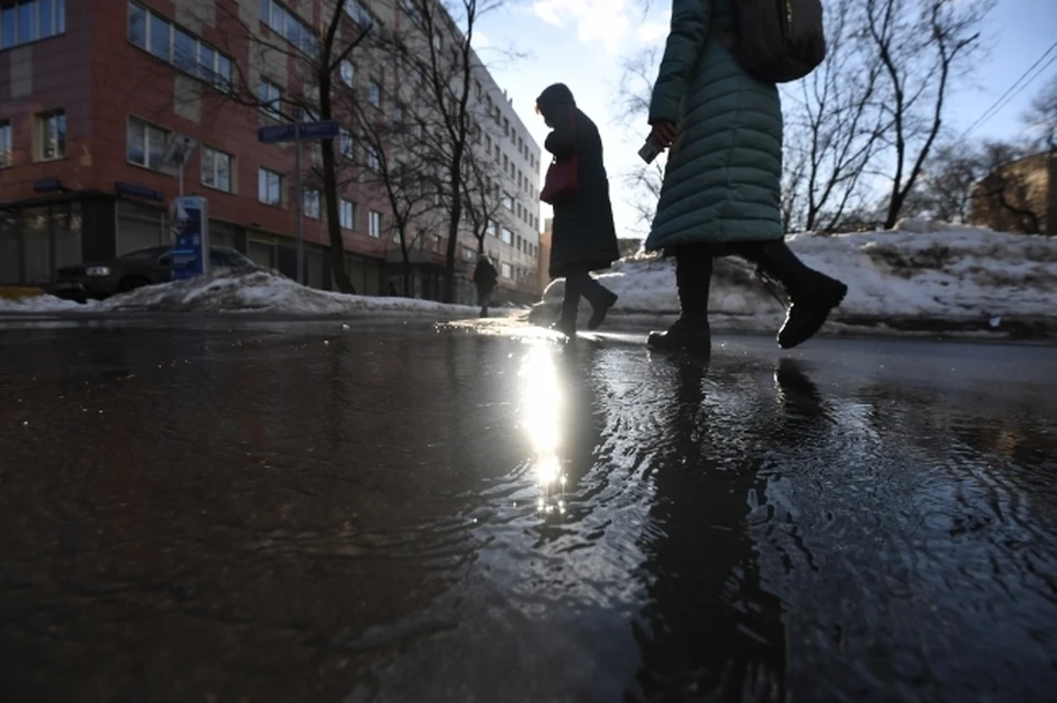 Теплая погода ожидается в первый рабочий день в Ростове