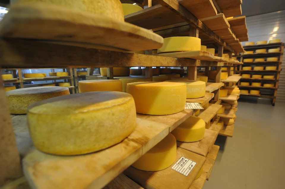 90% заквасок для кисломолочных продуктов являются импортными.