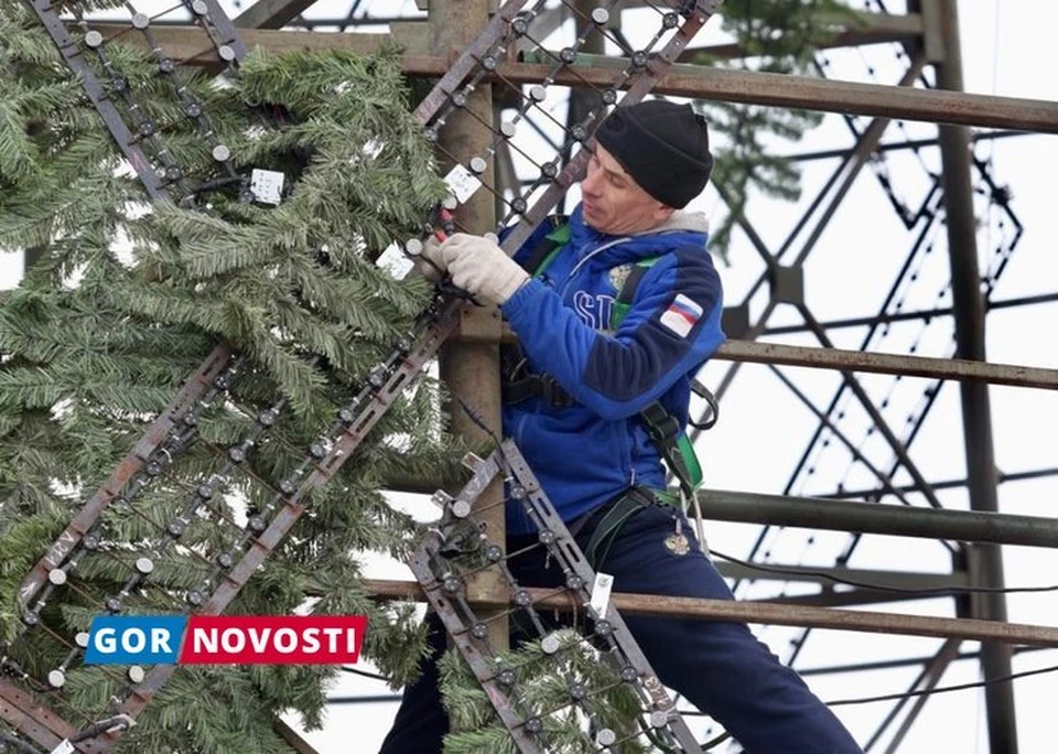 Фото: Руслан Рыбаков