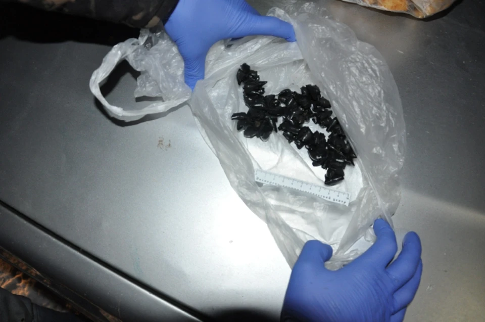 История кошки-наркокурьера