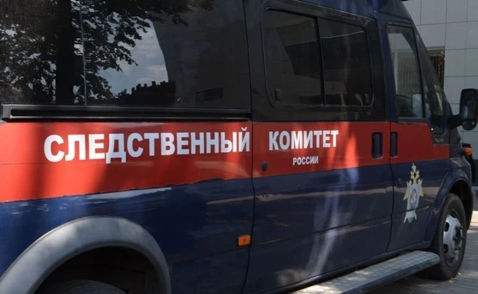 По результатам доследственной проверки будет принято процессуальное решение.