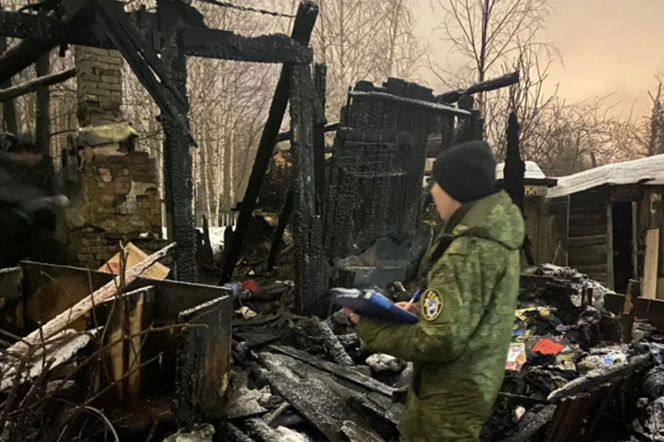 Фото: СУ Следственного комитета РФ по Пермскому краю