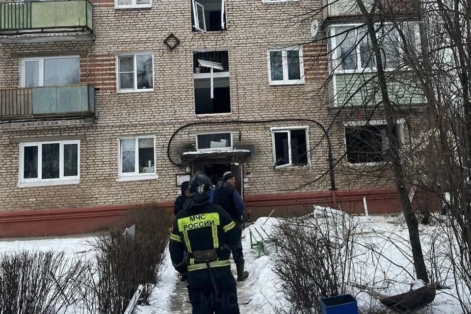 Фото: ГУ МЧС по Московской области